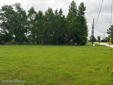 Build your dream home on this beautiful 70' x 100' cleared lot - photo 11