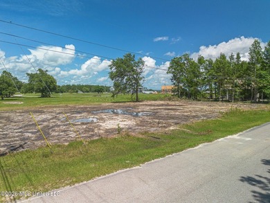 Build your dream home on this beautiful 70' x 100' cleared lot - photo 12