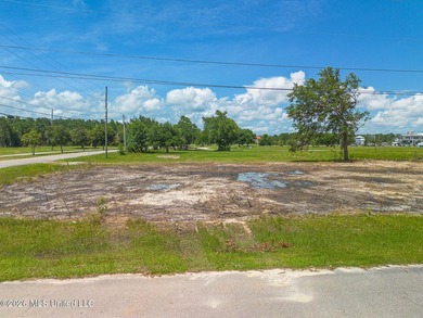 Build your dream home on this beautiful 70' x 100' cleared lot - photo 13