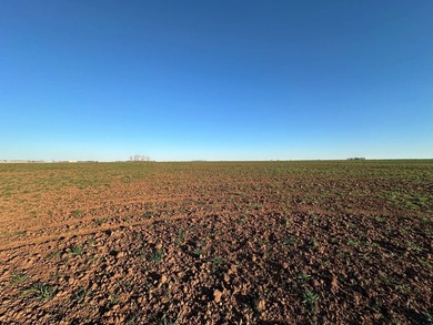 51+/- Acres | Pond Creek Area, Grant County, Oklahoma Productive - photo 13