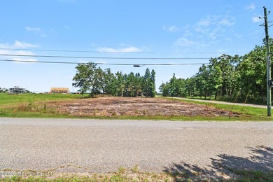 Build your dream home on this beautiful 70' x 100' cleared lot - photo 15