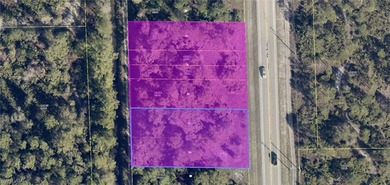 Lehigh Acres Area Commercial For Sale in Alva Florida