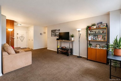 A rare chance to own in the heart of Flushing is here! This two - photo 4