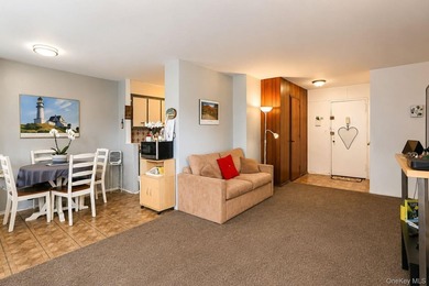 A rare chance to own in the heart of Flushing is here! This two - photo 6