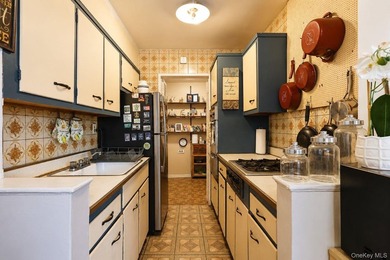 A rare chance to own in the heart of Flushing is here! This two - photo 8
