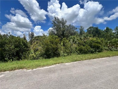 Lehigh Acres Area Lot For Sale in Lehigh Acres Florida