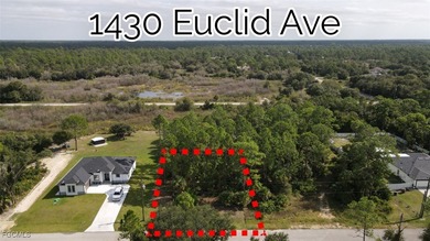 Lehigh Acres Area Lot For Sale in Lehigh Acres Florida