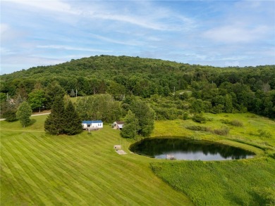 Lake Home For Sale in Walton, New York