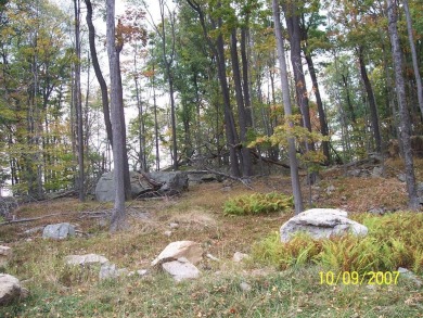 Timber Lake Acreage For Sale in Canadensis Pennsylvania