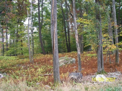 Timber Lake Acreage For Sale in Canadensis Pennsylvania