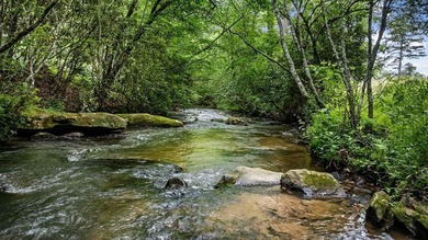 Toccoa River - Fannin County Home For Sale in Mineral Bluff Georgia
