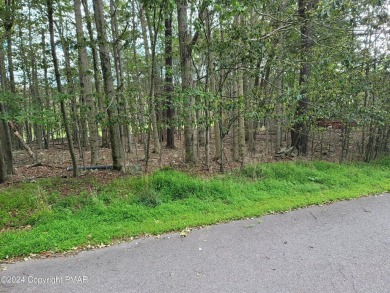 Dresser Lake Lot For Sale in Tobyhanna Pennsylvania