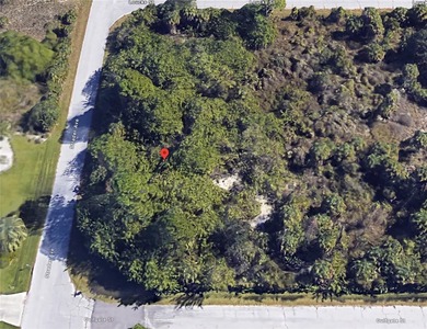 Port Charlotte Waterway Area Lot For Sale in Port Charlotte Florida