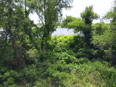 2.1 Waterfront Acres, Non HOA Gated Subdivision! - photo 13