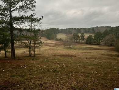 Lake Acreage For Sale in Pell City, Alabama