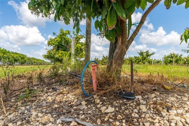19.63-Acre Producing Sweetheart Lychee/BQ Longan Grove - Corner - photo 12
