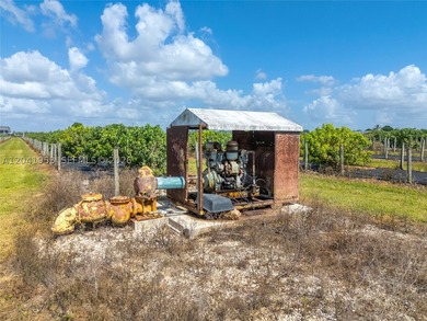 19.63-Acre Producing Sweetheart Lychee/BQ Longan Grove - Corner - photo 13