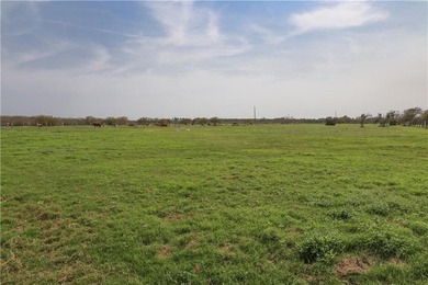 87.26 acres available in Flour Bluff, offering an exceptional - photo 14