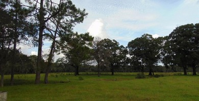 A rare opportunity to acquire 33+/- acres of vacant land with - photo 4