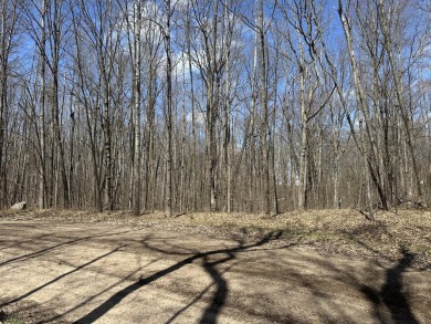 Lake Lot For Sale in Reed City, Michigan