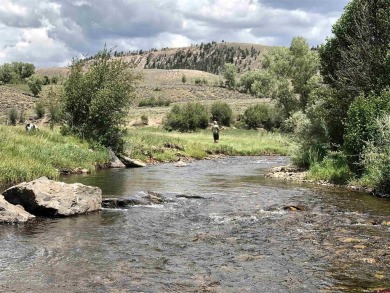 (private lake, pond, creek) Lot For Sale in Parlin Colorado