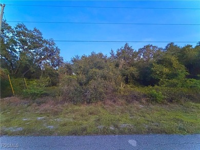 Lehigh Acres Area Lot Sale Pending in Lehigh Acres Florida