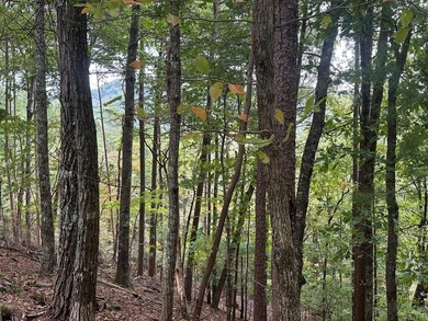 Lake Dakwa Lot For Sale in Ellijay Georgia