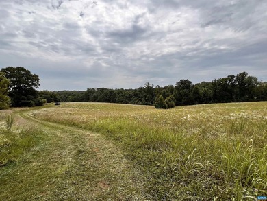 his 70.04 acre site is located in a Major area of Commercial - photo 44