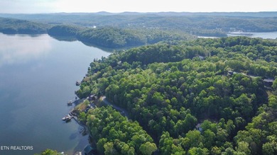 Rare opportunity to own a spectacular lakefront property with - photo 16