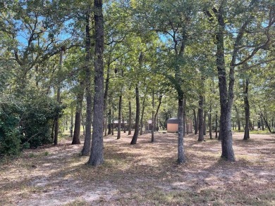 Richland Chambers Lake Lot For Sale in Streetman Texas