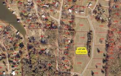 Bonham Lake Lot For Sale in Bonham Texas