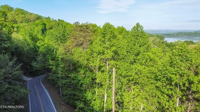 Rare opportunity to own a spectacular lakefront property with - photo 27