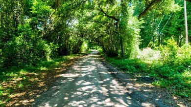 Have space while living close to everything including Folly - photo 3