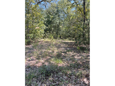 (private lake, pond, coastal) Acreage Sale Pending in Aiken South Carolina