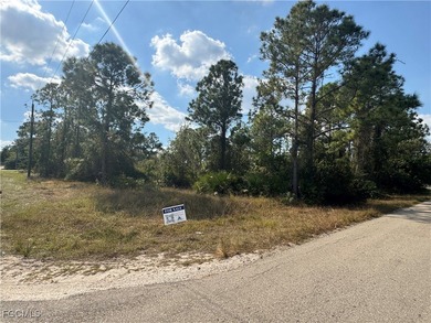Lehigh Acres Area Lot For Sale in Lehigh Acres Florida