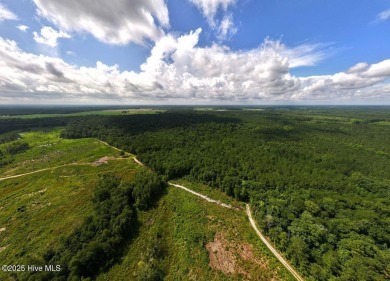 Lake Acreage Sale Pending in Trenton, North Carolina
