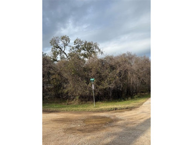 Lake Lot For Sale in Weatherford, Texas