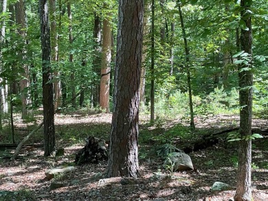 Lake Lot For Sale in Greers Ferry, Arkansas