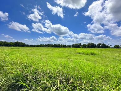2.1 Waterfront Acres, Non HOA Gated Subdivision! - photo 20