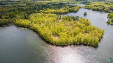 Lake Commercial For Sale in Iron River, Wisconsin