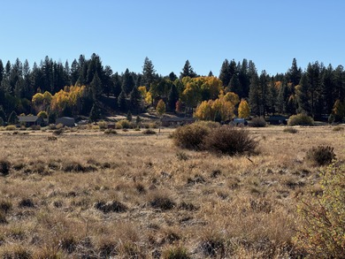 Buildable, beautiful and reasonably priced 5-acre property in - photo 11