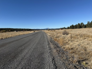 Buildable, beautiful and reasonably priced 5-acre property in - photo 12