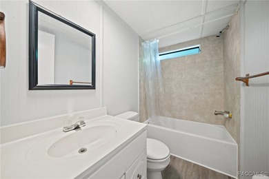 One or more photo(s) has been virtually staged. Updated 2/1 Lake - photo 12