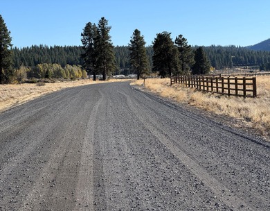 Buildable, beautiful and reasonably priced 5-acre property in - photo 13