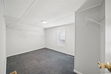 One or more photo(s) has been virtually staged. Updated 2/1 Lake - photo 13