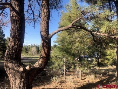 Lake Forest Lot For Sale in Pagosa Springs Colorado