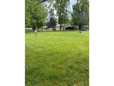 Prime Buildable Lots on Jimmerson Lake - Buena Vista Rare - photo 1