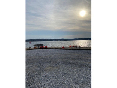 Prime Buildable Lots on Jimmerson Lake - Buena Vista Rare - photo 2
