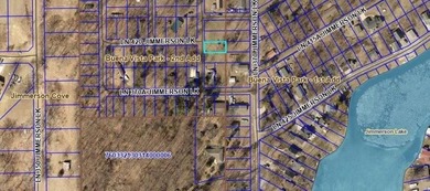 Prime Buildable Lots on Jimmerson Lake - Buena Vista Rare - photo 3