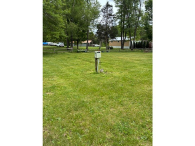 Prime Buildable Lots on Jimmerson Lake - Buena Vista Rare - photo 4